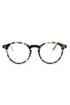 Snob Milano - Doguito SNV225-C003-Z 46 Unisex Güneş Gözlüğü