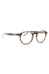 Snob Milano - Doguito SNV225-C003-Z 46 Unisex Güneş Gözlüğü