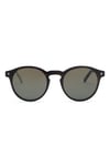 Snob Milano - IL Dogui-SNVX10-C002-Z 48 Unisex Güneş Gözlüğü