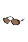 SWAROVSKI GUNES 0SK 6028 100273 54