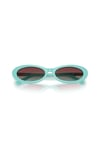TIFFANY & CO. GUNES 0TF 4250 8388V5 56 KADIN