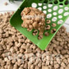 Sapphire Standart Orta Boy Orta Taneli Hızlı Topaklanan Kedi Kumu 10 Lt + Kürek