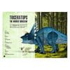 Sassi 3D Triceratops Book and 3D Model