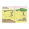 Usborne Animal Sticker & Colouring Book