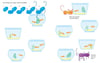 Usborne Fingerprint Activities Cats and Dogs