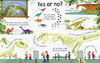 Usborne Lift The Flap Questions and Answers About Dinosaurs