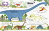 Usborne Lift The Flap Questions and Answers About Dinosaurs
