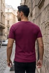 Erkek Bordo Bisiklet Yaka Fitilli Örme Dik Çizgi Regular Kalıp Kısa Kol Tişört