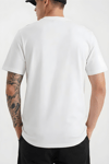 Erkek Ekru Beyaz Renaissance Regular Fit Normal Kalıp T-shirt