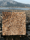 Kumsal Tablo 15x15 cm
