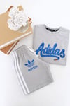 Adidas şortlu takım gri