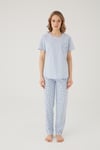 Wishes Comfort Kısakol %100 Pamuk Kadın Gri Pijama Takımı