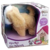 Can Toys Kutulu Pıllı Kopek Can-5224-7149Can Toys Kutulu Pıllı Kopek Can-5224-7149 - Kirtasiyem.netDiğer Oyuncak Ürünleri