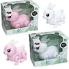 Cantoys Kut.Pil. Zıpzıp Tavşan ( Rabbit Lovely ) 48Diğer Kırtasiye Ürünleri