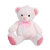 Cantoys Pel. 40 Cm Mavi- Pembe Ayı 50Diğer Kırtasiye Ürünleri