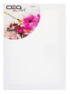 Ceoart Tuval Düz 25X35Ceoart Tuval Düz 25X35 - Kırtasiyem.netTuvaller