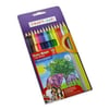 Craft&Arts Kuru Boya 12'li PaketCraft&Arts Kuru Boya 12+2 Paket - Kırtasiyem.netKuru Boyalar
