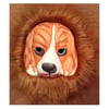 Dolphin Ms-2317 Tüylü Maske-Köpek Dolphin Ms-2317 Tüylü Maske-Köpek  - Kirtasiyem.netMaskeler