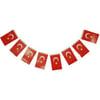 Eren Bayrak İpli Küçük 20111Eren Bayrak İpli Küçük 20111 - Kirtasiyem NetBayraklar