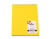 Gülpaş A-5 Çizgili Bloknot Plastik Kapak 15X21 100 Yp.__654Gülpaş 13X21 Sert Kapak Hafif Defter Çizgili 13X21 80 Yp._813 - Kirtasiyem.netBloknotlar