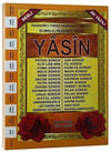 Haktan Rahleboy 192 Sayfa İri Yazılı Yasini Şerif H-42Haktan Rahleboy 192 Sayfa İri Yazılı Yasini Şerif H-42 - Kirtasiyem.netDua Kitabı