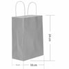 Hilal 31x12x41 Büküm Saplı Poşet Gümüş  Hilal 31x12x41 Büküm Saplı Poşet Gümüş *25 - Kirtasiyem.netHediye Paketi