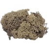 Jordan Yosun 5085 Kahve 10 GRJordan Yosun 5085 Kahve 10 GR - Kirtasiyem.net3D Maketler