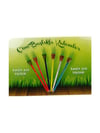 Misyon Çim Kalem Neon ST01933Misyon Çim Kalem Neon ST01933 - Kirtasiyem.netEğitici Materyaller