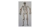 Misyon Karton İskelet Model Yapımı A-4 ST08007Misyon Karton İskelet Model Yapımı A-4 ST08007 - Kirtasiyem.netEğitici Materyaller