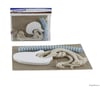 Misyon Sindirim Sistemi Modeli ST05092Misyon Sindirim Sistemi Modeli ST05092 - Kirtasiyem.netEğitici Materyaller