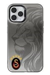 Piolent GSCASE25039-iPhone11Pro Galatasaray 5 Yıldız Aslan Premium Telefon KılıfıTelefon