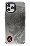 Piolent GSCASE25039-iPhone11ProMax Galatasaray 5 Yıldız Aslan Premium Telefon KılıfıTelefon