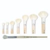 Südor Ponpon Fırça 758 16        --SF758-16Südor Ponpon Fırça 758 16        --SF758-16 - Kırtasiyem.netFırçalar