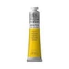 Winton Wn Y.Boya 200Ml Cad.Yellow Pl.Hue 119 (8)Winton Wn Y.Boya 200Ml Cad.Yellow Pl.Hue 119 (8) - Kırtasiyem.netYağlı Boyalar