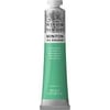 Winton Wn Y.Boya 200Ml Emerald Green 241 (18)Winton Wn Y.Boya 200Ml Emerald Green 241 (18) - Kırtasiyem.netYağlı Boyalar