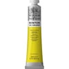 Winton Wn Y.Boya 200Ml Lemon Yellow Hue 346 (26)Winton Wn Y.Boya 200Ml Lemon Yellow Hue 346 (26) - Kırtasiyem.netYağlı Boyalar