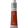 Winton Wn Y.Boya 200Ml Light Red 362 (27)Winton Wn Y.Boya 200Ml Light Red 362 (27) - Kırtasiyem.netYağlı Boyalar