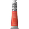 Winton Wn Y.Boya 200Ml P.Geranium Lake 480 (22)Winton Wn Y.Boya 200Ml P.Geranium Lake 480 (22) - Kırtasiyem.netYağlı Boyalar