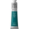 Winton Wn Y.Boya 200Ml Viridian Hue 696 (43)Winton Wn Y.Boya 200Ml Viridian Hue 696 (43) - Kırtasiyem.netYağlı Boyalar