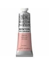Winton Wn Y.Boya 37Ml Flesh Tint 257 (20)Winton Wn Y.Boya 37Ml Flesh Tint 257 (20) - Kırtasiyem.netYağlı Boyalar