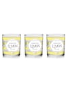 Season Lemon 3 Parça Set Linda Water Tumb.220C