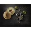 Zwilling Pro Limon Kabuğu Soyucu 18/10 Paslanmaz Çelik 17 Cm