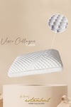 COLLAGEN VISCO YASTIK - 40 x 60 cm