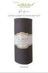 İgi Ranforce Fitted Çarşaf Set - 120x200 cm - Antra