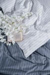 Soft Dream Çift Kişilik Nevresim Takımı İndigo