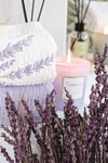 Sweet Dreams Havlu Seti - Lavender