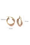 Hatchet Lock Three Colors Hoop Earring