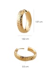 Hoop Earring