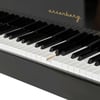 Arsenberg Speyer AGP150B Siyah Grand Piyano