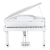 Arsenberg Speyer AGP150W Beyaz Grand Piyano
